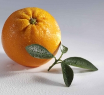rgn-0028 apelsinas